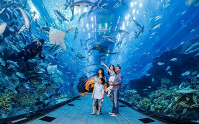 Underwater zoo in Dubai Aquarium